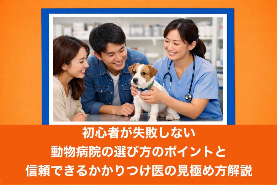 画像3915