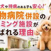 画像4037