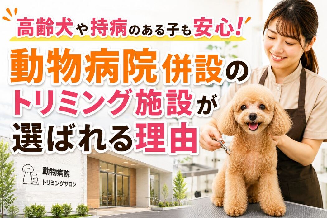 画像4037