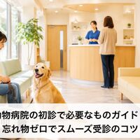 画像4047