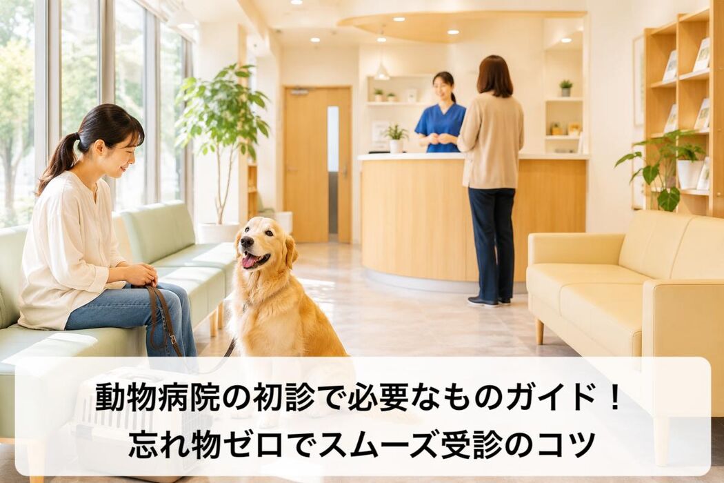 画像4047
