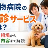 画像4057