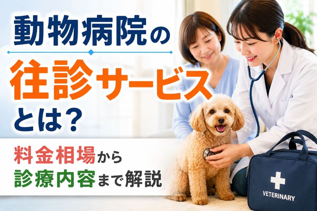 画像4057