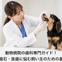 画像4068