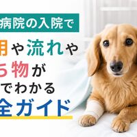 画像4129