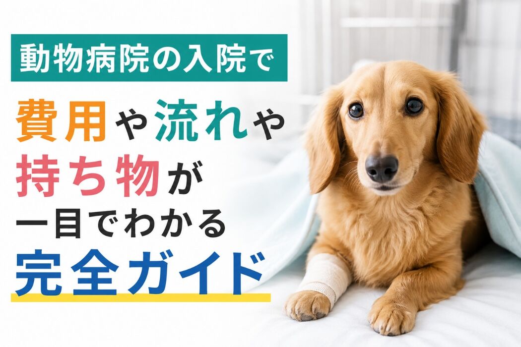 画像4129