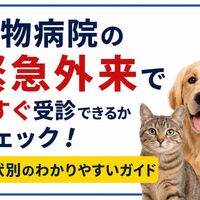 画像4155