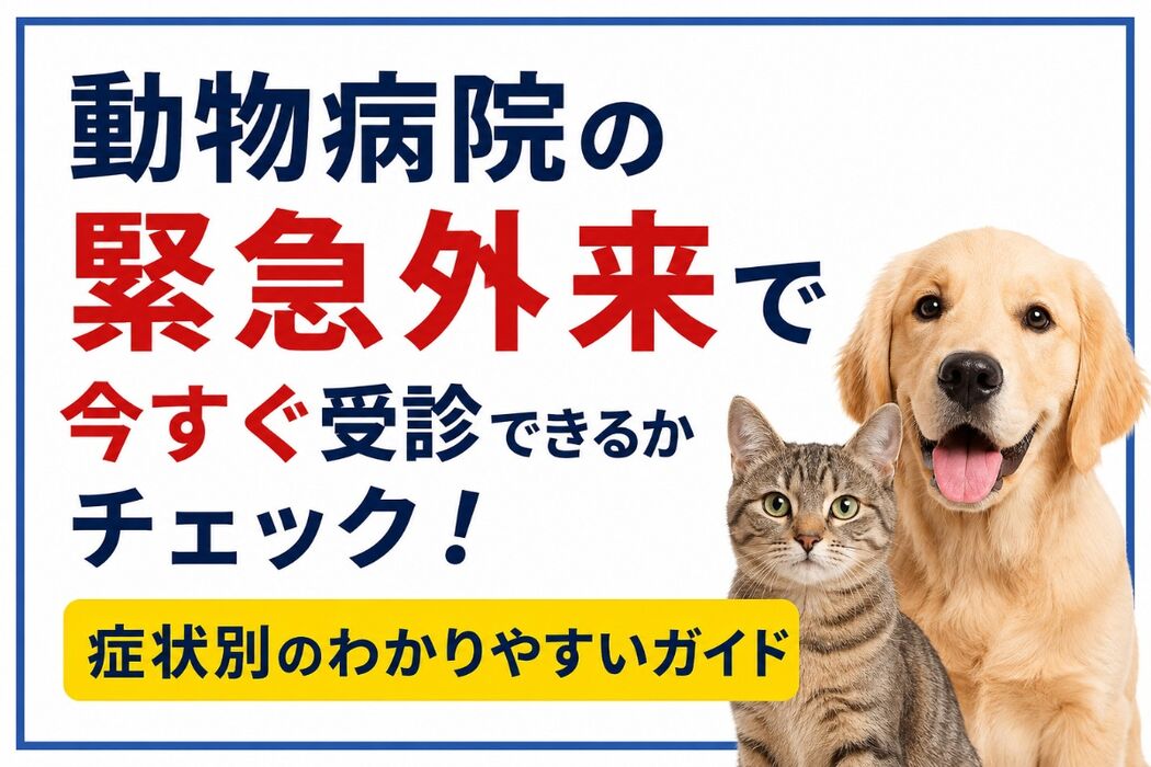 画像4155