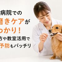 画像4179