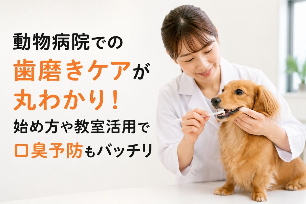 画像4179
