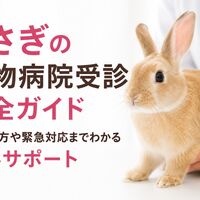画像4203