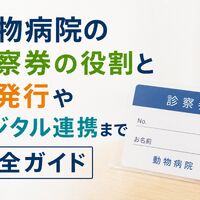 画像4244