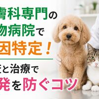 画像4257