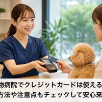 画像4378