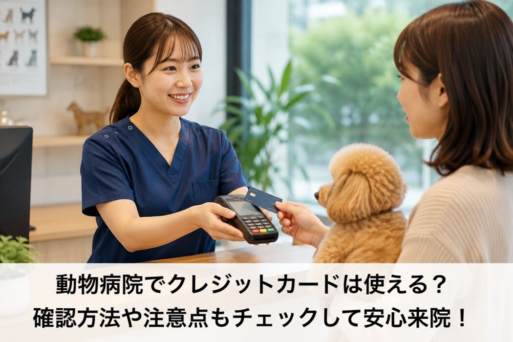 画像4378