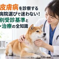 画像4434