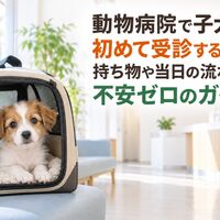 画像4446