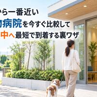画像4460