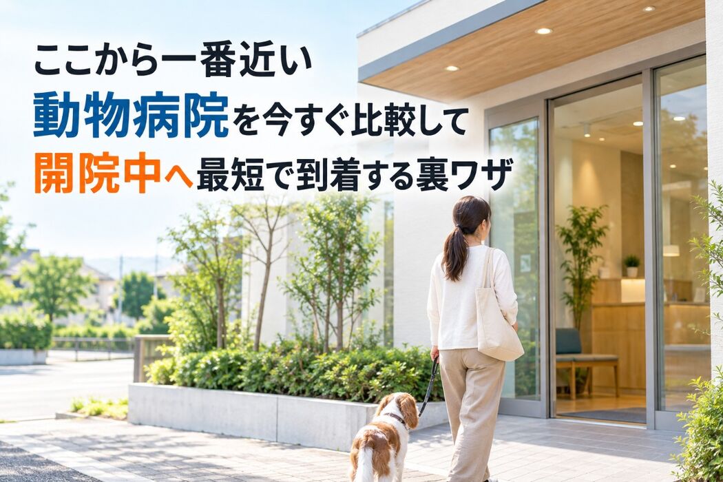 画像4460