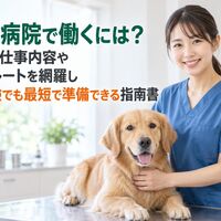 画像4472