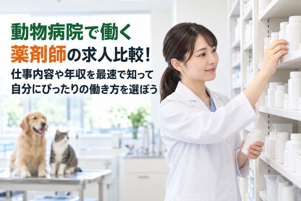 画像4484